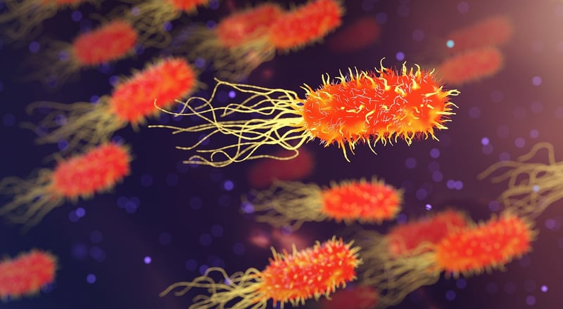 Alien Organisms