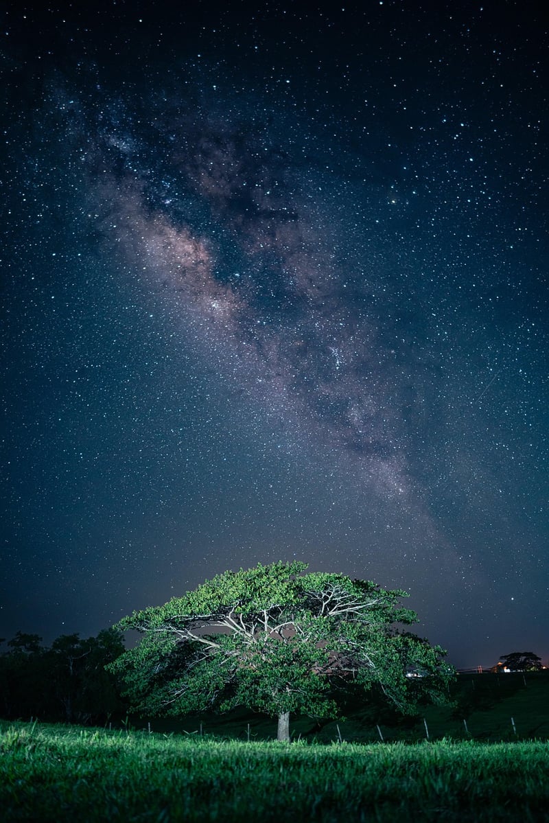 Galaxy